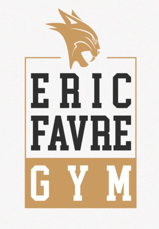 logo eric favre